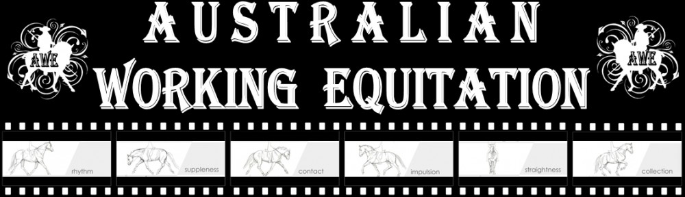 Australian Working Equitation Inc